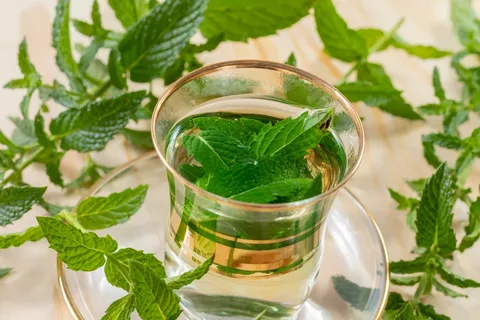 تصویر 3 از خرید عرق نعنا یک و یک + بهترین قیمت